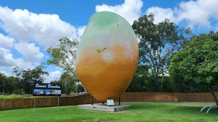 The Big Mango Bowen -
