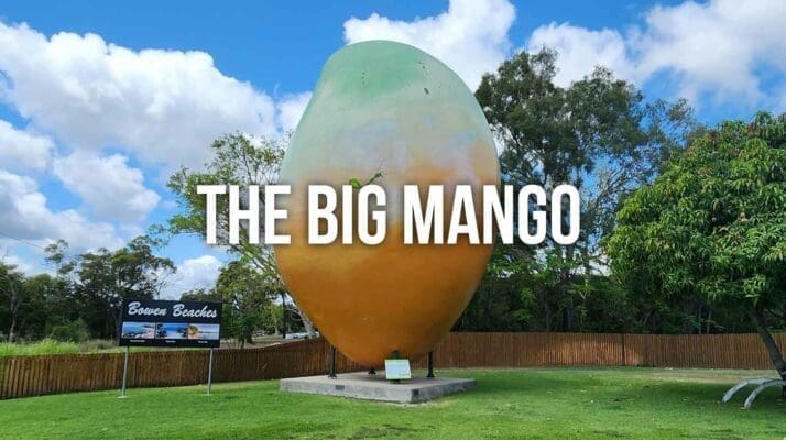 The Big Mango Bowen -